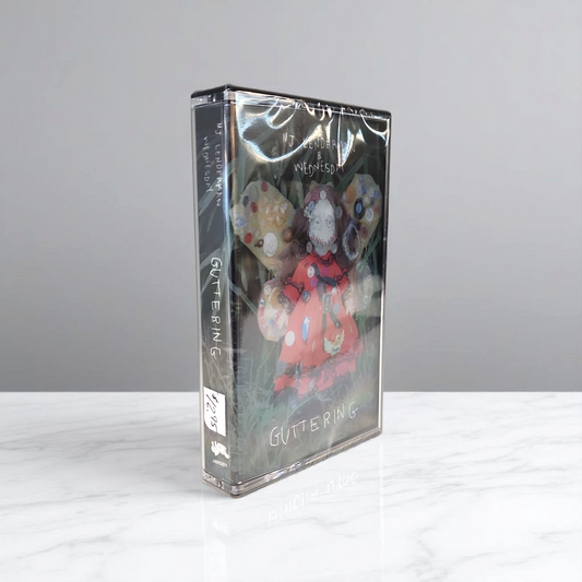MJ Lenderman and Wednesday Guttering Cassette Tape