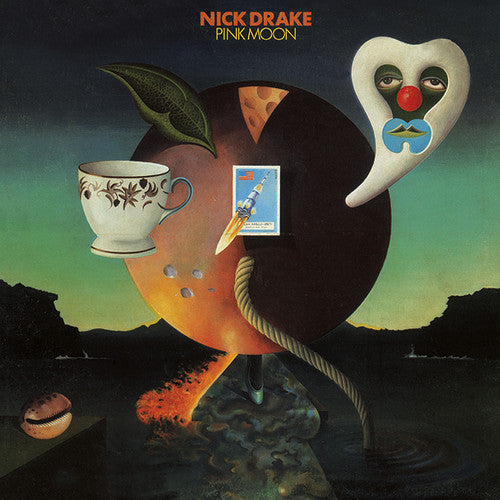 the album cover for Nick Drake - Pink Moon