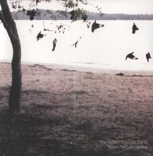 the album cover for The Tallest Man On Earth - There's No Leaving Now