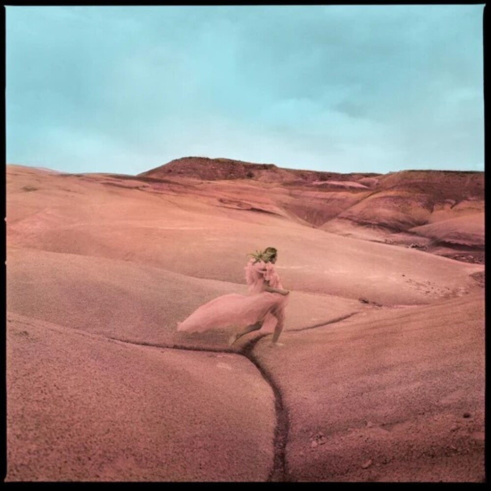 the album cover for Margo Price - Strays