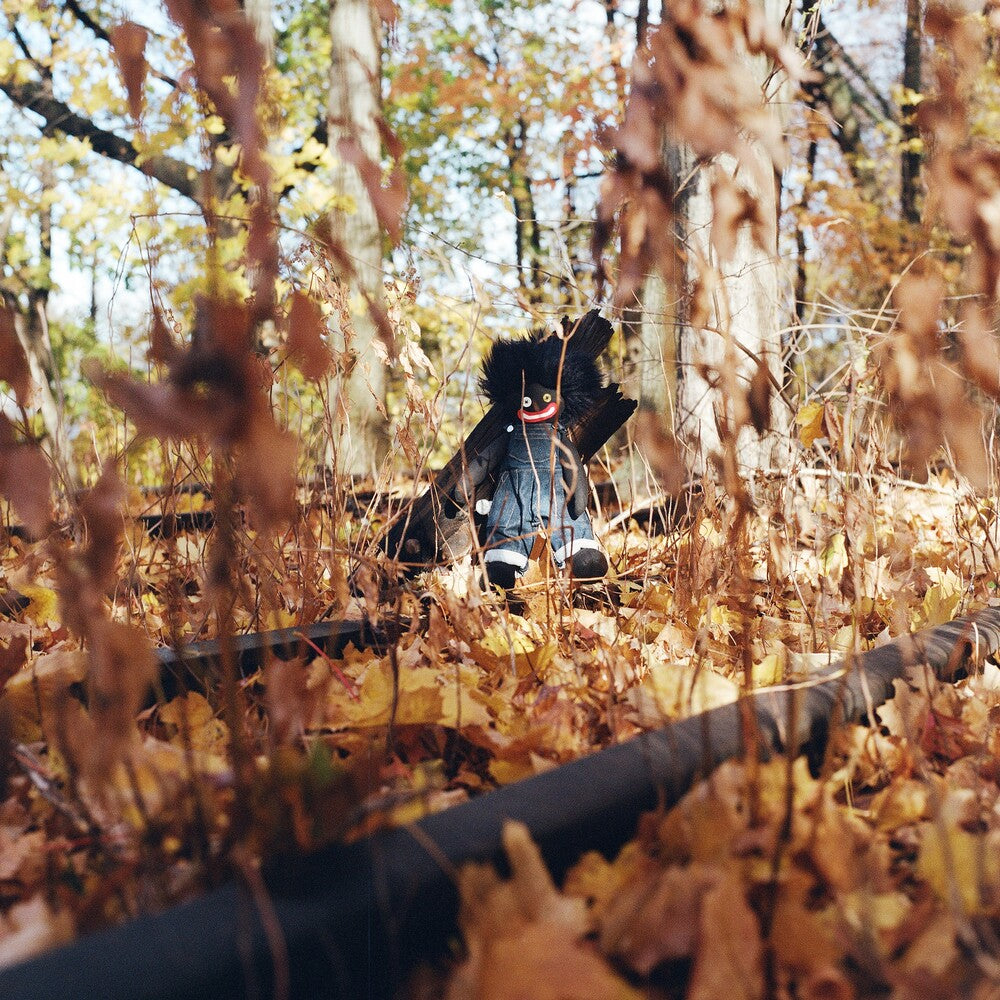 the album cover for Billy Woods - Golliwog