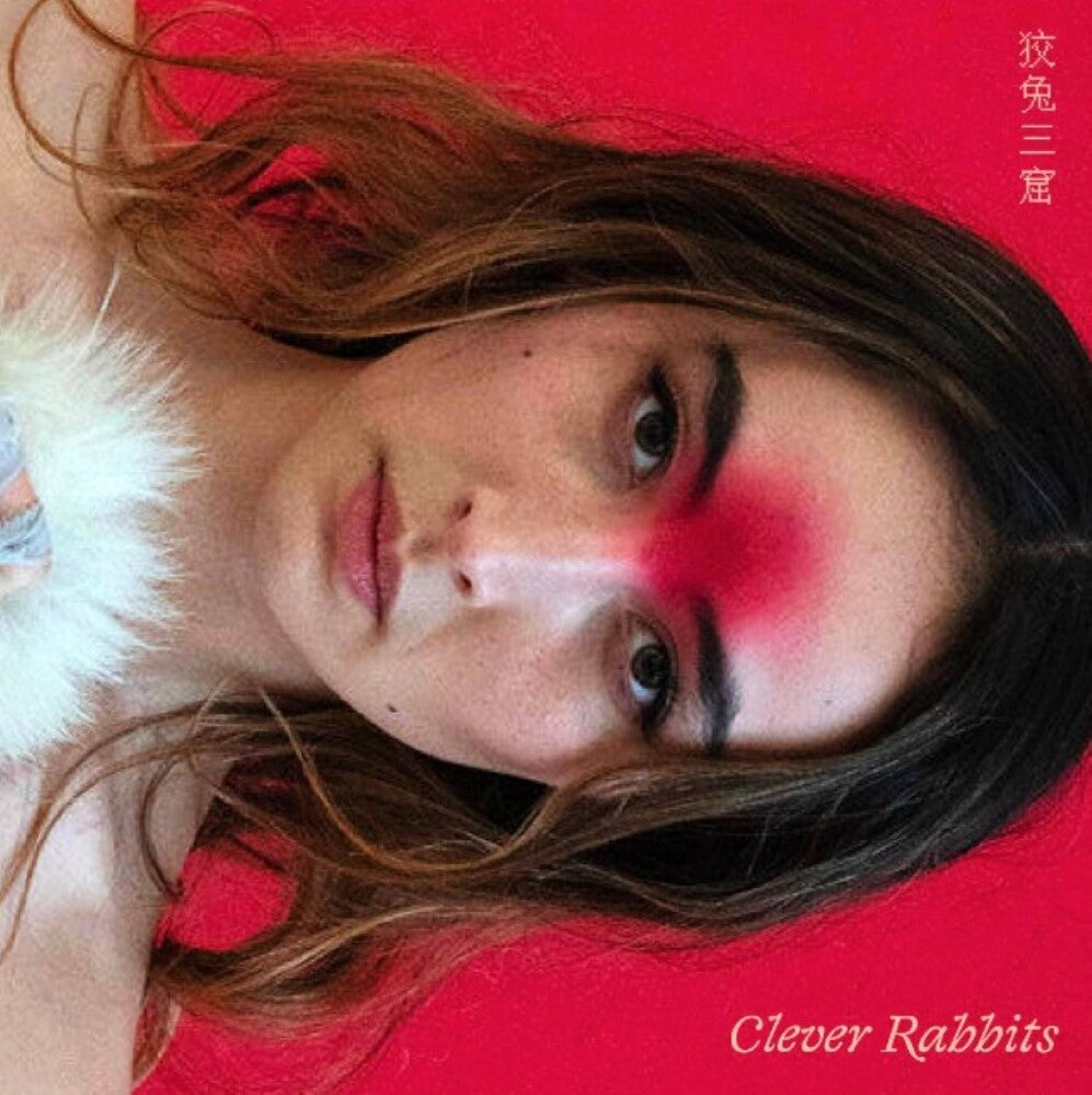 the album cover for Ann Cannon Liu - Clever Rabbits (Uk)