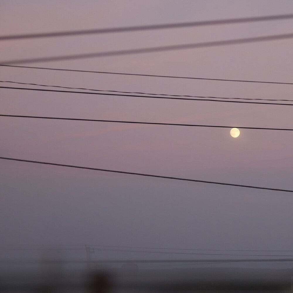 the album cover for Michael Dawson Scott - Long Slow Distance