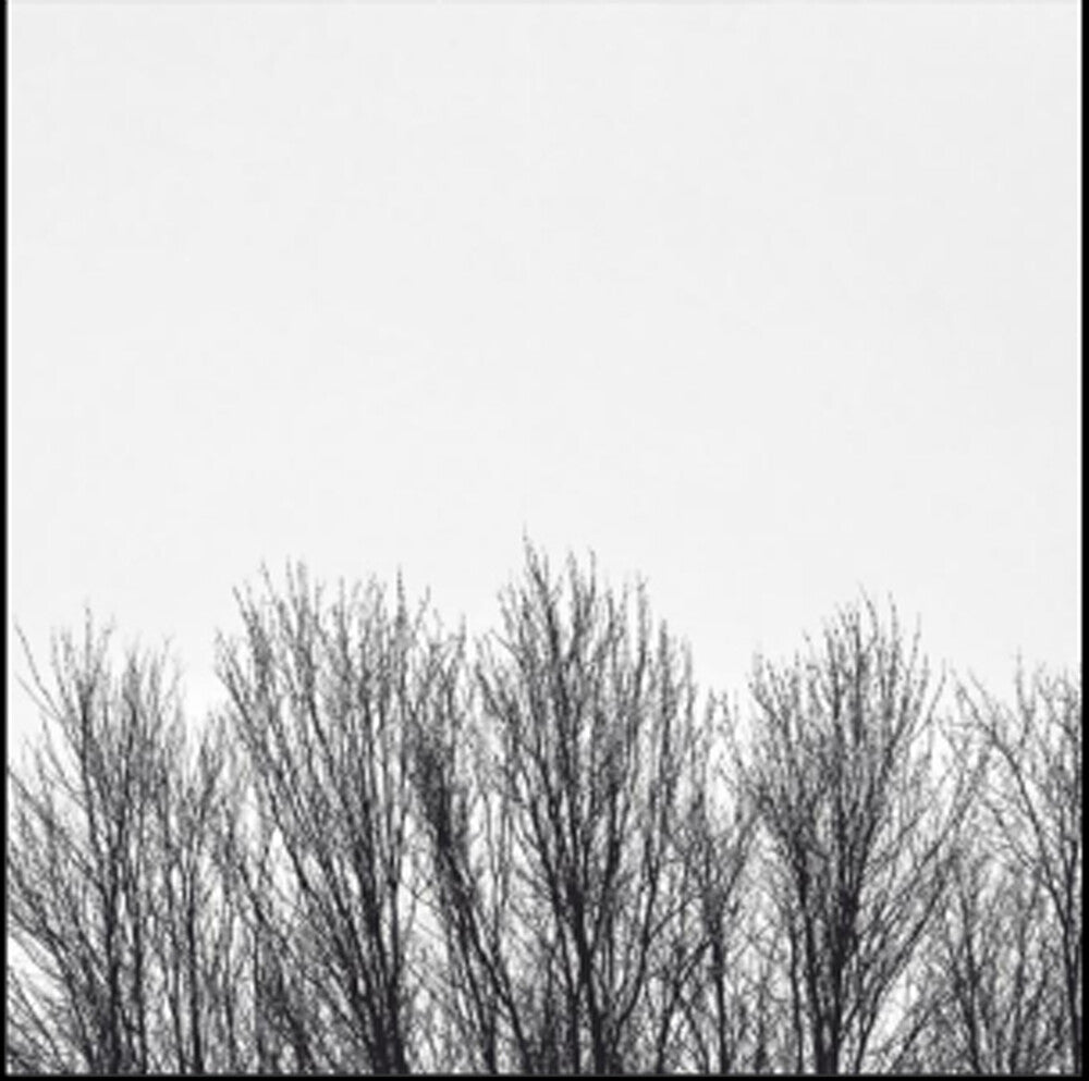 the album cover for Northwoods Improvisers - White Sky
