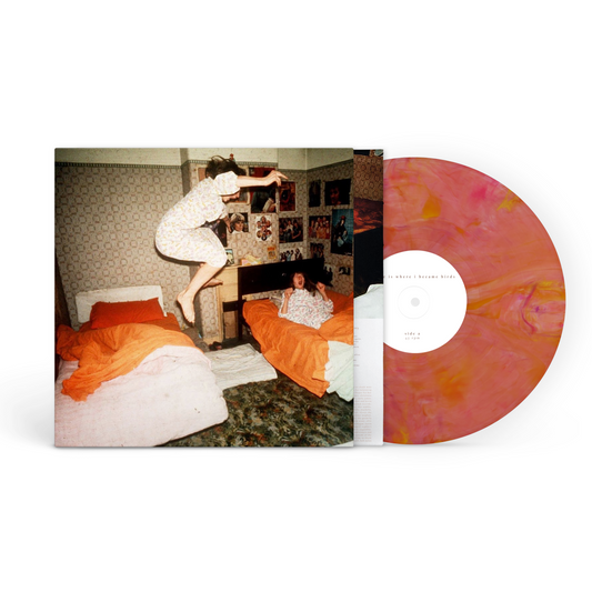 Home is Where I Became Birds Vinyl Record Album