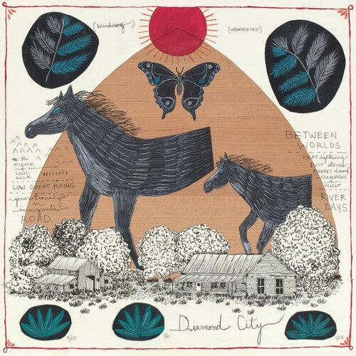 Will Johnson Diamond City Vinyl Record Album