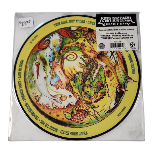 King Gizzard and The Lizard Wizard Teenage Gizzard Picture Disc