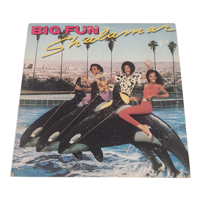 Shalamar Big Fun Vinyl Record Album