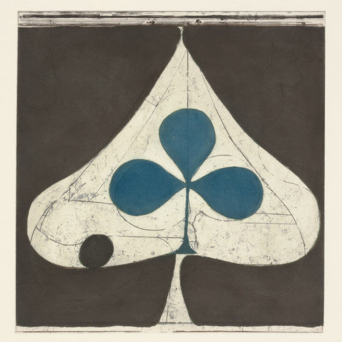 the album cover for Grizzly Bear - Shields