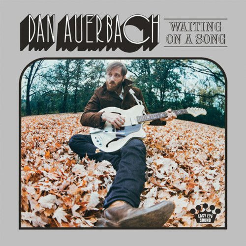 the album cover for Dan Auerbach - Waiting On A Song [LP]