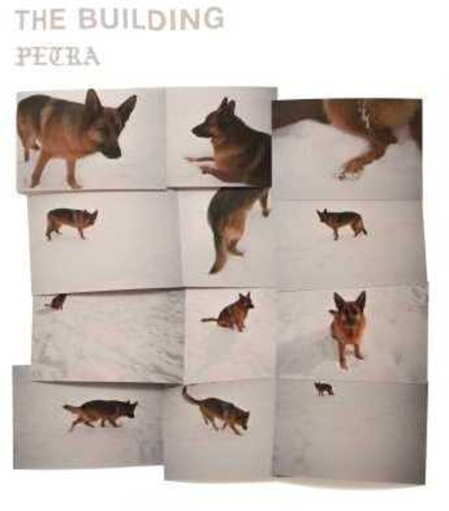 the album cover for The Building - PETRA [LP]