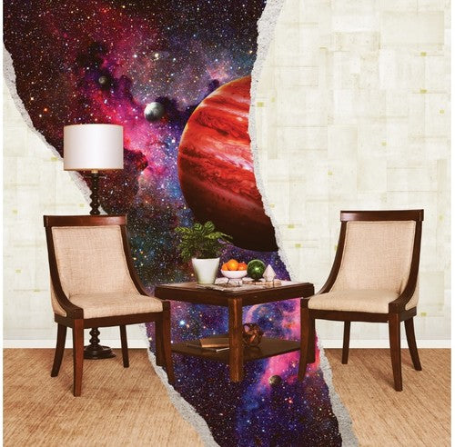 the album cover for Rainbow Kitten Surprise - How to: Friend, Love, Freefall [LP]