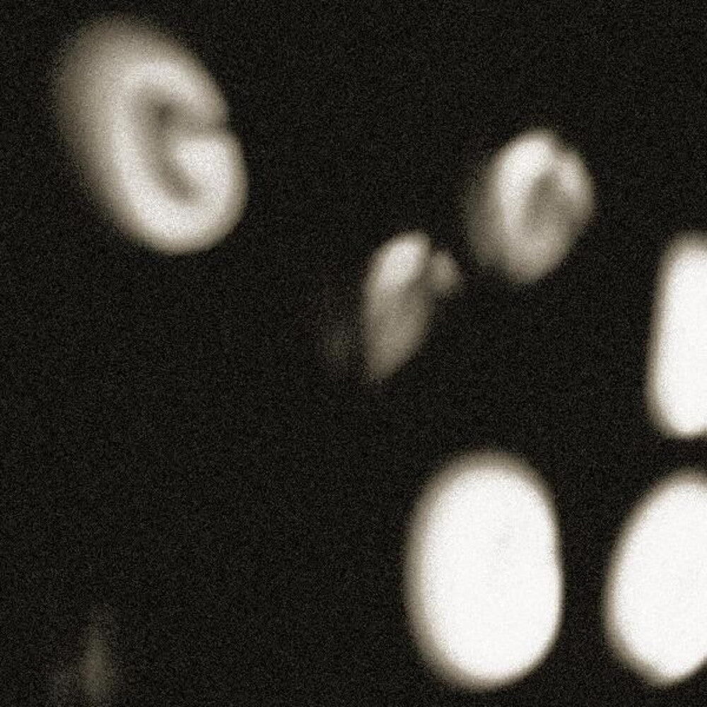 the album cover for No Age - Goons Be Gone [LP]