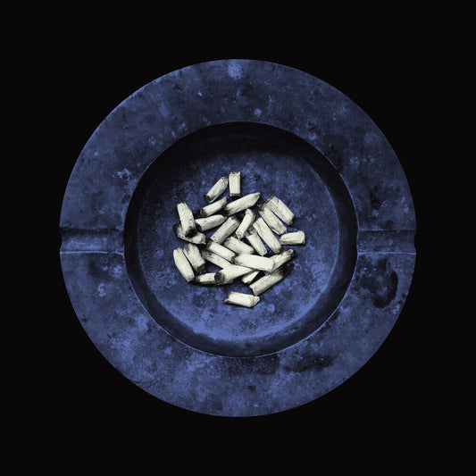 the album cover for Laura Jane Grace - Stay Alive [Lapis Lazuli Blue LP]