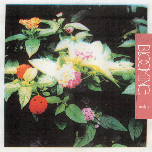 the album cover for Amulets - Blooming