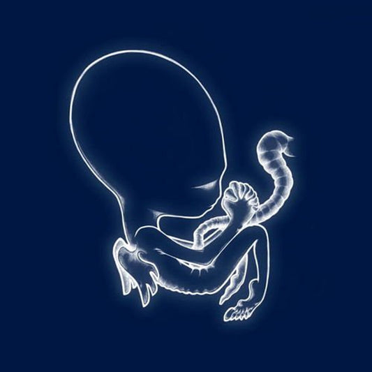 the album cover for Sigur Ros - Agaetis Byrjun