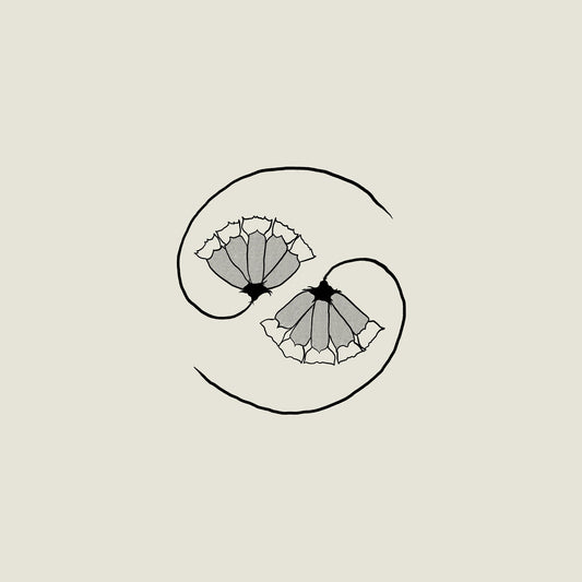 the album cover for Godspeed You! Black Emperor - G_D's Pee At State's End!