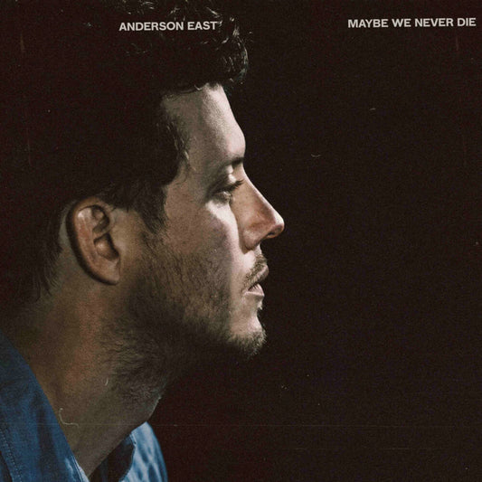 the album cover for Anderson East - Maybe We Never Die