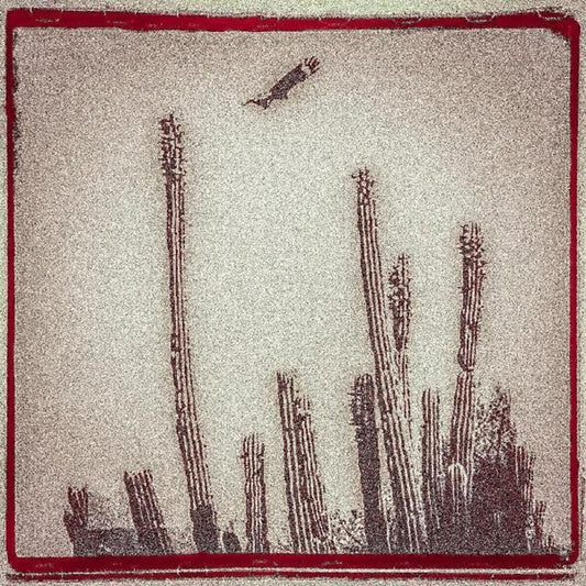 the album cover for Alejandro Escovedo - La Cruzada [Bone White 2LP]