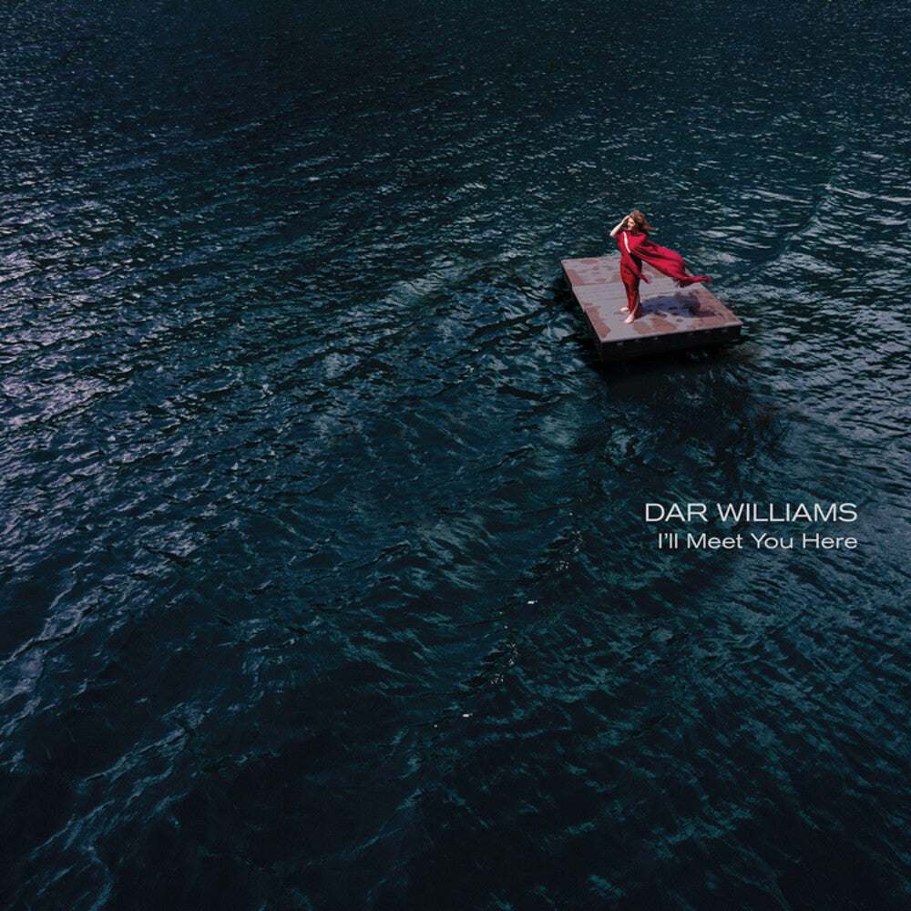 the album cover for Dar Williams - I'll Meet You Here