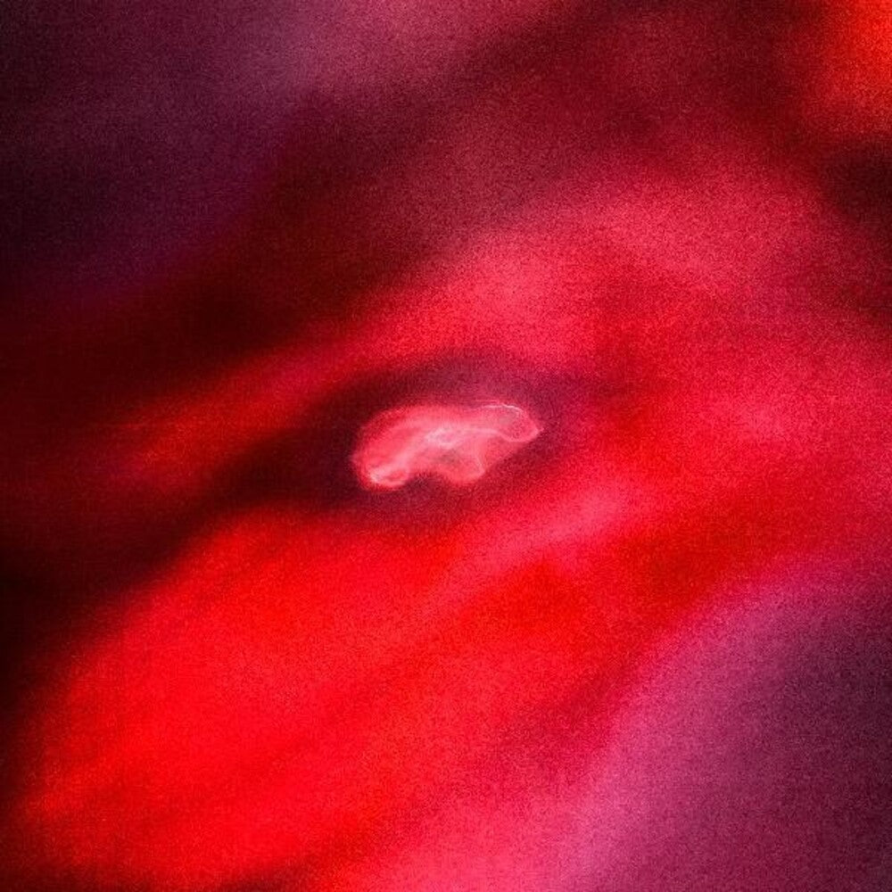 the album cover for Saffronkeira / Siavash Amini - Faded Orbit [Indie Exclusive Limited Edition Red LP]