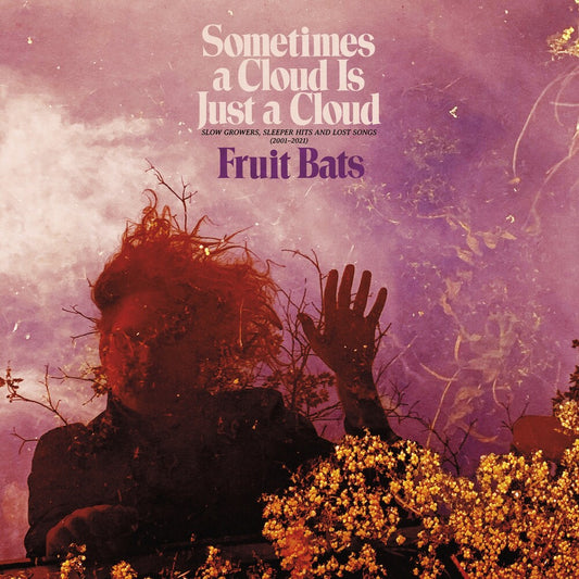 the album cover for Fruit Bats - Sometimes a Cloud Is Just a Cloud: Slow Growers, Sleeper Hits and Lost Songs (2001–2021) [Indie Exclusive Deluxe 2LP]
