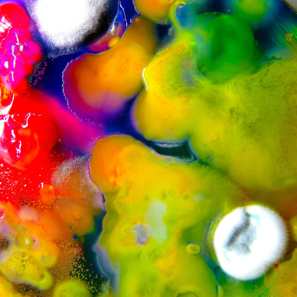 the album cover for Guerilla Toss - Famously Alive [Limited Edition Purple LP]