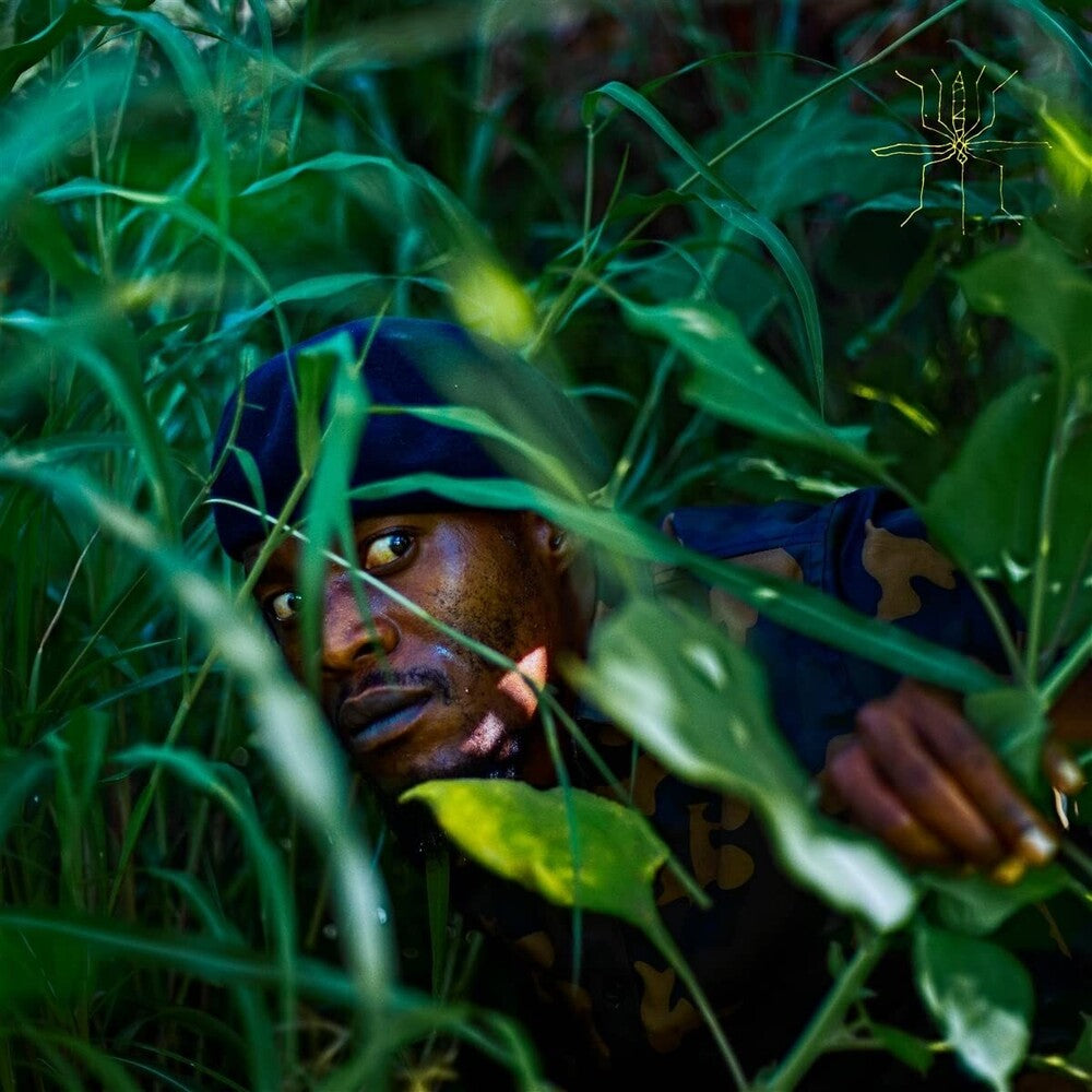 the album cover for Ecko Bazz - Mmaso [LP]