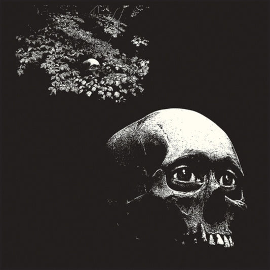 the album cover for Osees - Foul Form