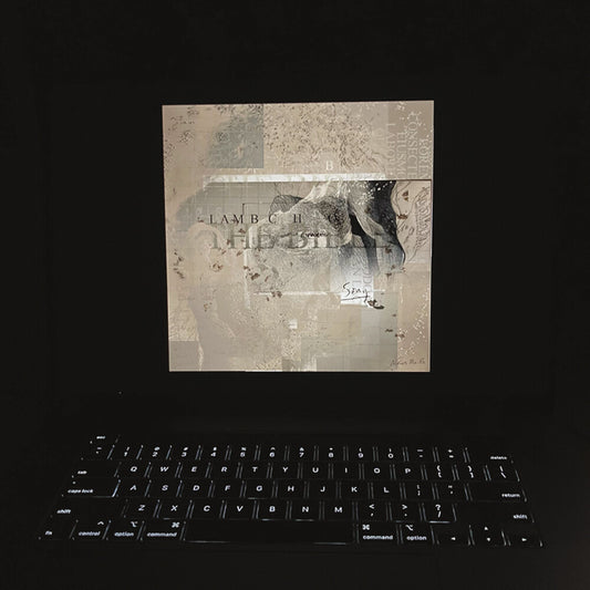 the album cover for Lambchop - The Bible [Indie Exclusive limited Edition Peak Yellow & Black Marbled 2LP]