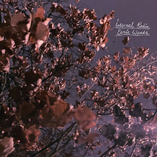 the album cover for Eerie Wanda - Internal Radio