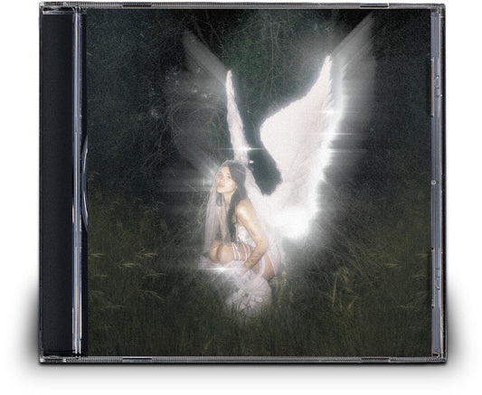 the album cover for Barrett, Nessa - Young Forever