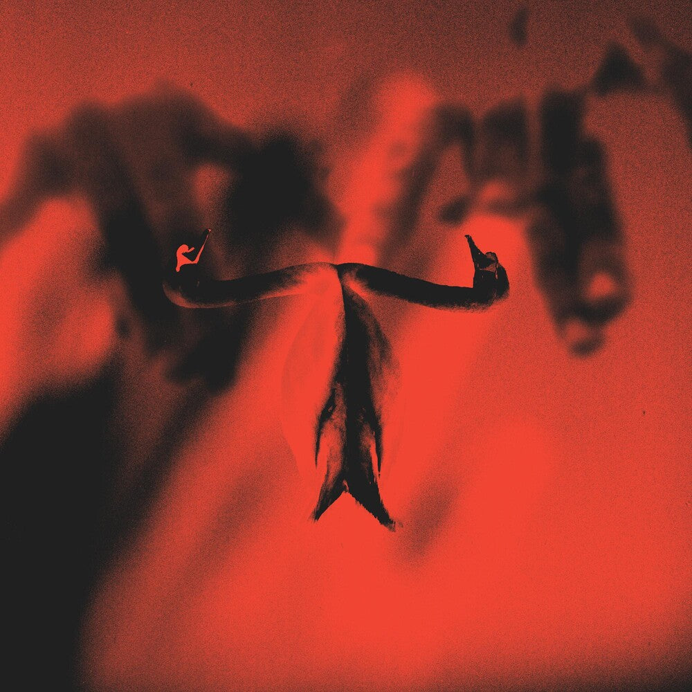the album cover for Maxim Mental - Make Team Presents Maxim Mental In Maximalism [Indie Exclusive Limited Edition Red & Black Marble LP]