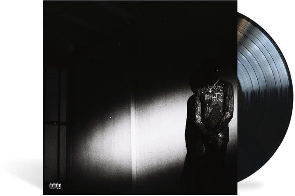 the album cover for Destroy Lonely - NO STYLIST [LP]