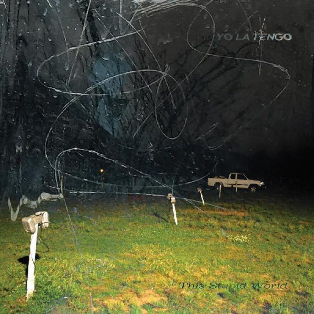 the album cover for Yo La Tengo - This Stupid World