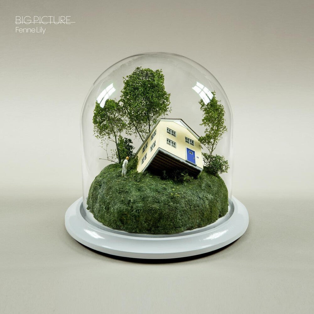 the album cover for Fenne Lily - Big Picture [Ultramarine LP]