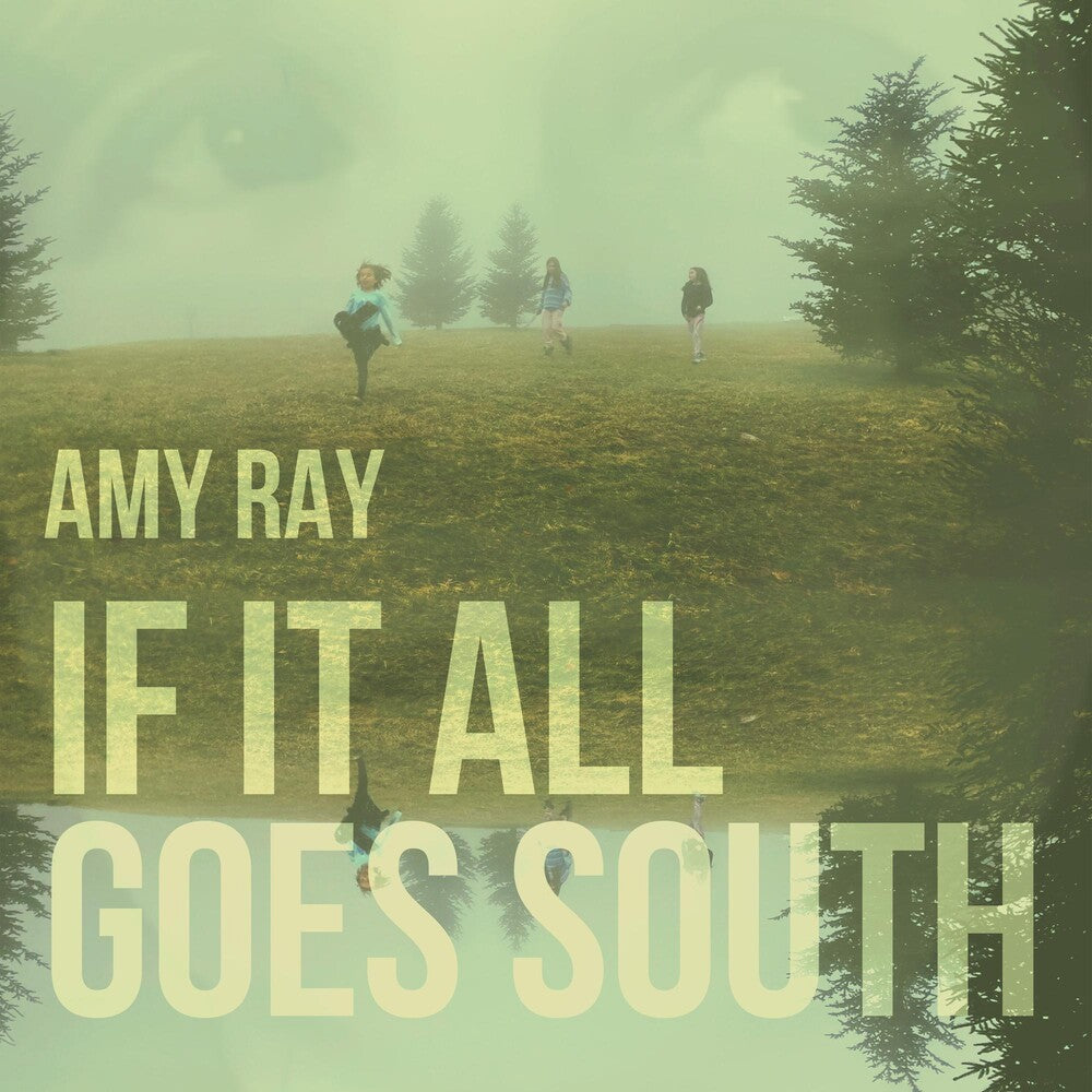 the album cover for Amy Ray - If It All Goes South