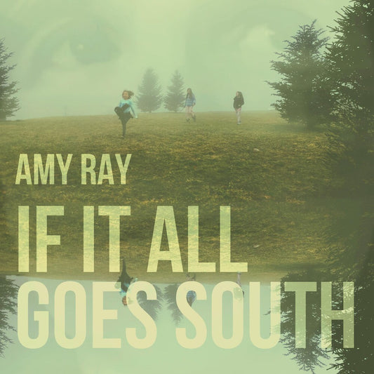 the album cover for Amy Ray - If It All Goes South