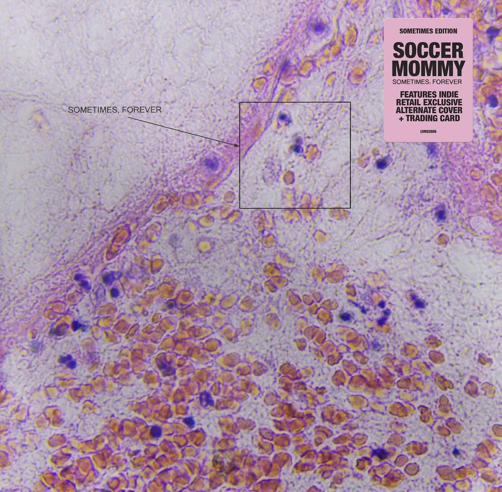 the album cover for Soccer Mommy - Sometimes, Forever [Indie Exclusive Limited Edition Alternate Cover CD]