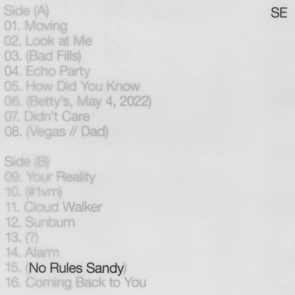 the album cover for Sylvan Esso - No Rules Sandy [Indie Exclusive Limited Edition Tiger's Eye LP]