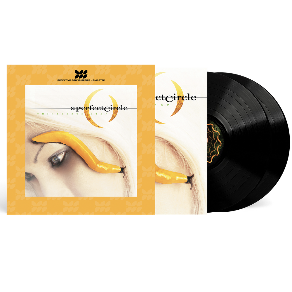 the album cover for A Perfect Circle - Thirteenth Step [Definitive Sound Series 180g]
