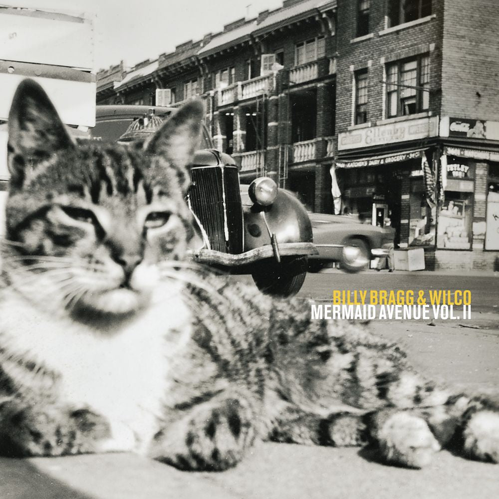 the album cover for Billy Bragg & Wilco - Mermaid Avenue Vol. II - [180g Black]