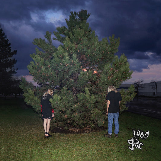 the album cover for 100 Gecs - 1000 Gecs (Mod)