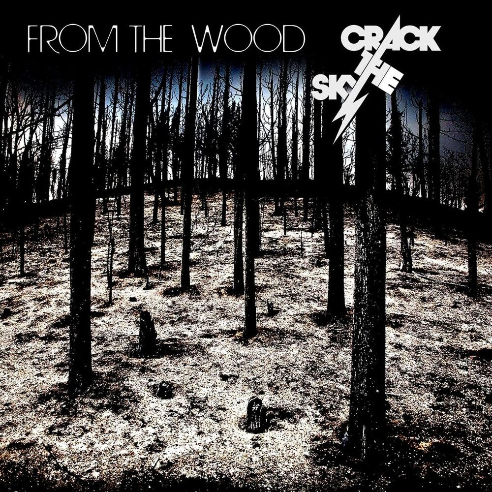 the album cover for Crack The Sky - From The Wood