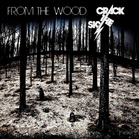 the album cover for Crack The Sky - From The Wood