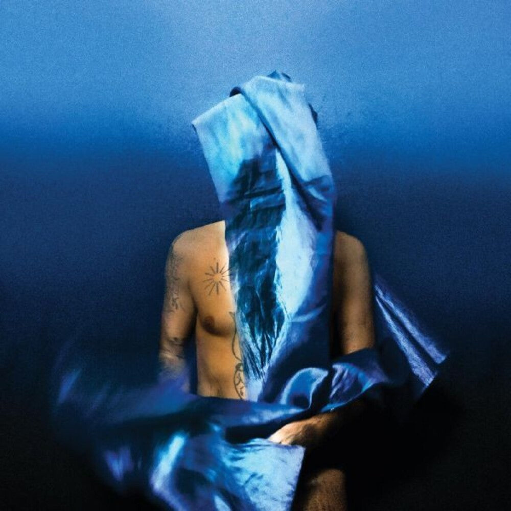 the album cover for Devendra Banhart - Flying Wig [Indie Exclusive Limited Edition Opaque Blue LP]