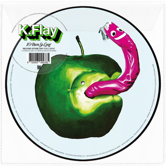 the album cover for K.Flay - It's Been So Long [RSD Black Friday 2023]