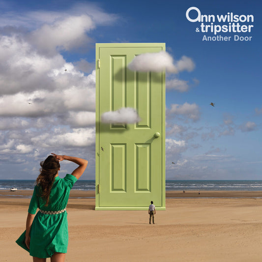 the album cover for Ann Wilson & Tripsitter - Another Door