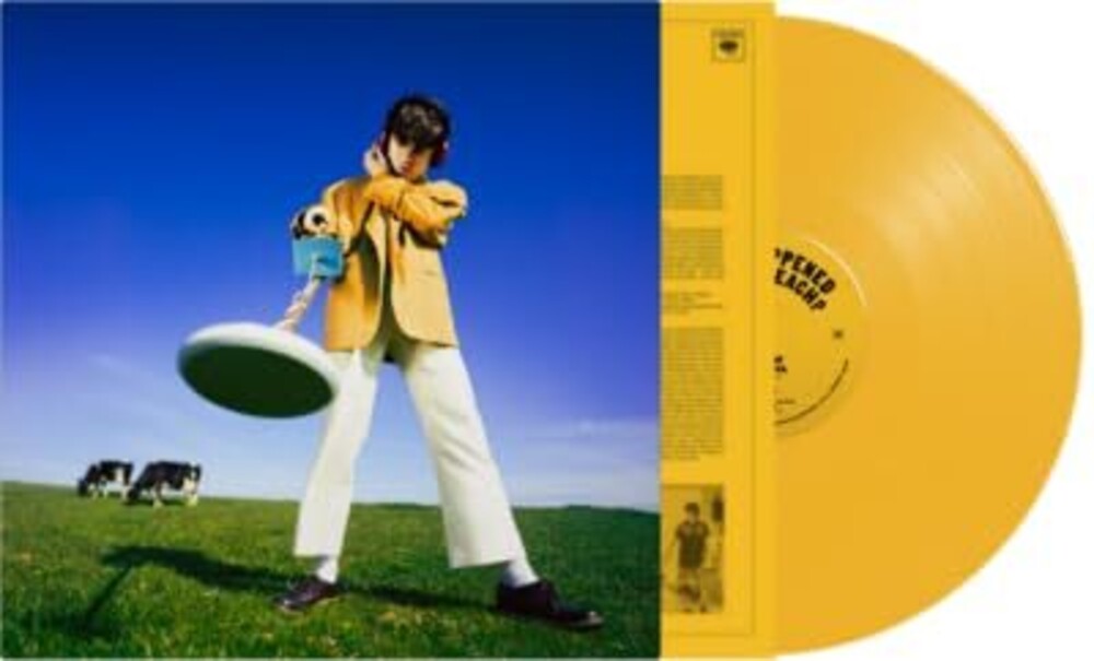 the album cover for Declan McKenna - What Happened To The Beach? [Colored Vinyl] (Ylw) [Indie Exclusive]