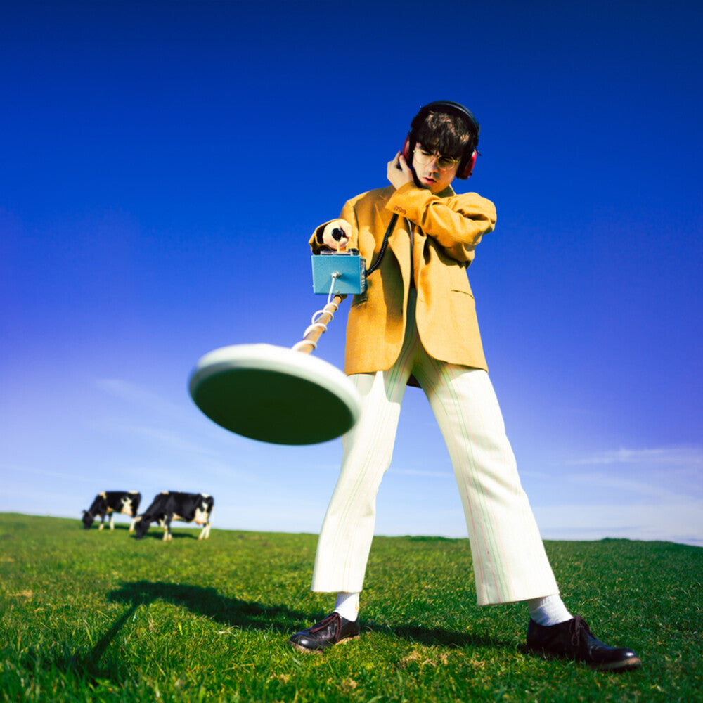 the album cover for Declan McKenna - What Happened To The Beach? [Deluxe] (Pict) [Indie Exclusive]